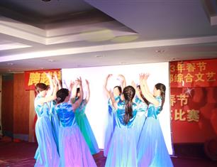 跨越祥和，超越自我—2013春節(jié)聯(lián)歡--財(cái)務(wù)處